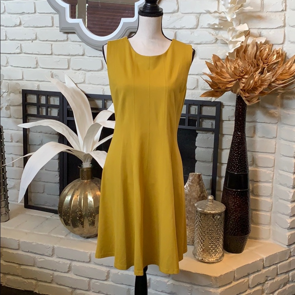 Philosophy gorgeous mustard colored dress!